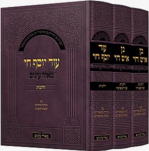 סט בן איש חי הלכות - עוד יוסף חי הלכות (3 כרכים) | מהדורת מאיר עיניים סט בן איש חי הלכות - עוד יוסף חי הלכות (3 כרכים) | מהדורת מאיר עיניים