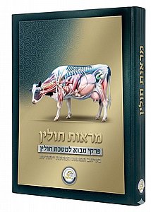 מראות חולין / קול הלשון מראות חולין / קול הלשון